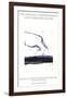 By the Sea-Robert Motherwell-Framed Collectable Print