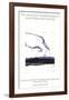 By the Sea-Robert Motherwell-Framed Collectable Print