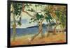 By the Seashore, Martinique, 1887-Paul Gauguin-Framed Giclee Print