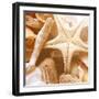 By the Seashore Square I-Susan Bryant-Framed Photographic Print