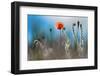 By the Side of the Road 1-Ursula Abresch-Framed Photographic Print