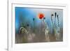 By the Side of the Road 1-Ursula Abresch-Framed Photographic Print