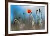 By the Side of the Road 1-Ursula Abresch-Framed Photographic Print