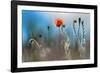 By the Side of the Road 1-Ursula Abresch-Framed Photographic Print