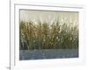 By the Tall Grass II-Tim O'toole-Framed Art Print