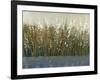 By the Tall Grass II-Tim O'toole-Framed Art Print