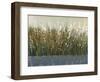 By the Tall Grass II-Tim O'toole-Framed Art Print