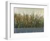 By the Tall Grass II-Tim O'toole-Framed Art Print