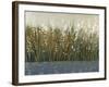 By the Tall Grass II-Tim O'toole-Framed Art Print