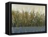 By the Tall Grass II-Tim O'toole-Framed Stretched Canvas