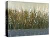By the Tall Grass II-Tim O'toole-Stretched Canvas