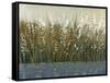 By the Tall Grass II-Tim O'toole-Framed Stretched Canvas