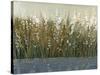 By the Tall Grass II-Tim O'toole-Stretched Canvas