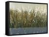 By the Tall Grass II-Tim O'toole-Framed Stretched Canvas