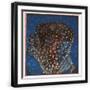 Black Frame