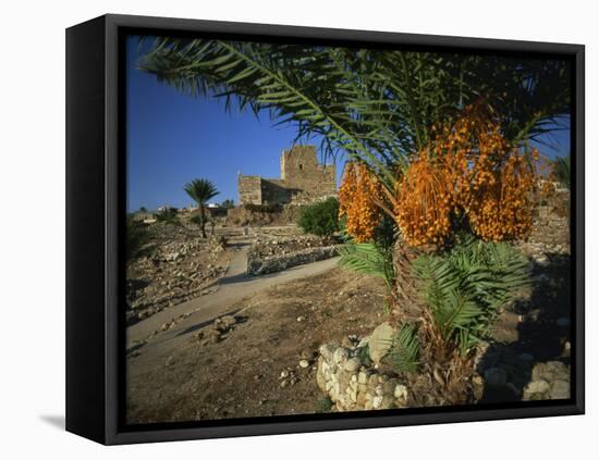 Byblos, Lebanon, Middle East-Olivieri Oliviero-Framed Stretched Canvas