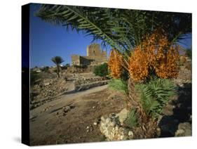 Byblos, Lebanon, Middle East-Olivieri Oliviero-Stretched Canvas