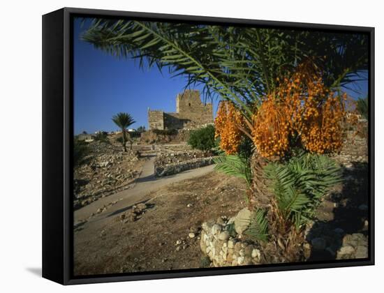 Byblos, Lebanon, Middle East-Olivieri Oliviero-Framed Stretched Canvas
