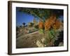 Byblos, Lebanon, Middle East-Olivieri Oliviero-Framed Photographic Print