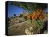 Byblos, Lebanon, Middle East-Olivieri Oliviero-Stretched Canvas