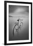 Bycicle 2-Moises Levy-Framed Photographic Print