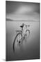 Bycicle 2-Moises Levy-Mounted Photographic Print