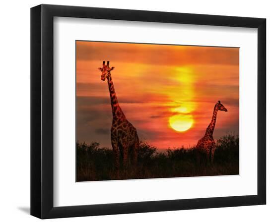 Premium Photographic Print, , large