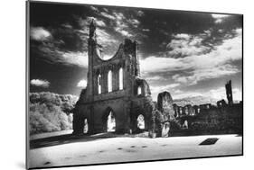 Byland Abbey, Yorkshire, England-Simon Marsden-Mounted Giclee Print