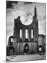 Byland Abbey-Fred Musto-Mounted Photographic Print