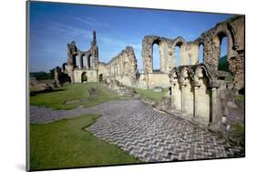 Byland Abbey-CM Dixon-Mounted Photographic Print