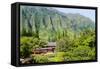 Byodo-In Temple, Valley of the Temples, Kaneohe, Oahu, Hawaii, United States of America, Pacific-Michael DeFreitas-Framed Stretched Canvas