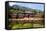 Byodo-In Temple, Valley of the Temples, Kaneohe, Oahu, Hawaii, United States of America, Pacific-Michael DeFreitas-Framed Stretched Canvas