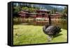 Byodo-In Temple, Valley of the Temples, Kaneohe, Oahu, Hawaii, United States of America, Pacific-Michael DeFreitas-Framed Stretched Canvas