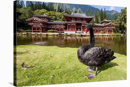 Byodo-In Temple, Valley of the Temples, Kaneohe, Oahu, Hawaii, United States of America, Pacific-Michael DeFreitas-Stretched Canvas