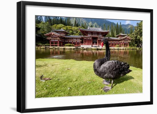 Byodo-In Temple, Valley of the Temples, Kaneohe, Oahu, Hawaii, United States of America, Pacific-Michael DeFreitas-Framed Photographic Print