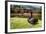 Byodo-In Temple, Valley of the Temples, Kaneohe, Oahu, Hawaii, United States of America, Pacific-Michael DeFreitas-Framed Photographic Print