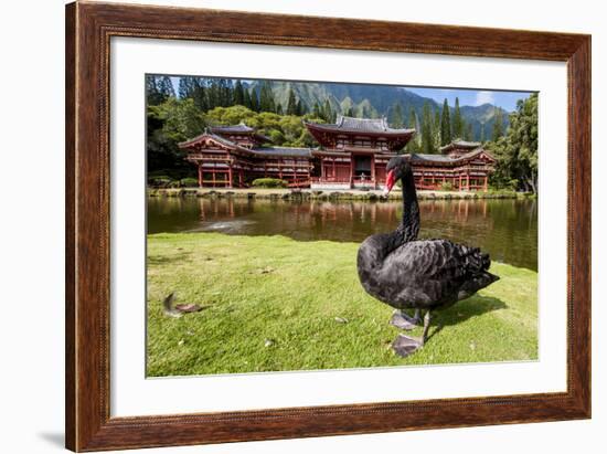 Byodo-In Temple, Valley of the Temples, Kaneohe, Oahu, Hawaii, United States of America, Pacific-Michael DeFreitas-Framed Photographic Print