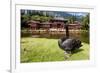 Byodo-In Temple, Valley of the Temples, Kaneohe, Oahu, Hawaii, United States of America, Pacific-Michael DeFreitas-Framed Photographic Print