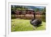 Byodo-In Temple, Valley of the Temples, Kaneohe, Oahu, Hawaii, United States of America, Pacific-Michael DeFreitas-Framed Photographic Print