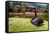 Byodo-In Temple, Valley of the Temples, Kaneohe, Oahu, Hawaii, United States of America, Pacific-Michael DeFreitas-Framed Stretched Canvas