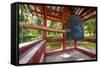 Byodo-In Temple, Valley of the Temples, Kaneohe, Oahu, Hawaii, United States of America, Pacific-Michael DeFreitas-Framed Stretched Canvas