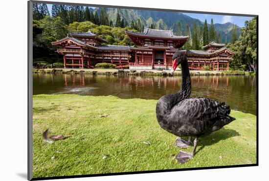 Byodo-In Temple, Valley of the Temples, Kaneohe, Oahu, Hawaii, United States of America, Pacific-Michael DeFreitas-Mounted Photographic Print