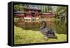 Byodo-In Temple, Valley of the Temples, Kaneohe, Oahu, Hawaii-Michael DeFreitas-Framed Stretched Canvas