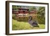 Byodo-In Temple, Valley of the Temples, Kaneohe, Oahu, Hawaii-Michael DeFreitas-Framed Photographic Print