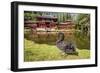 Byodo-In Temple, Valley of the Temples, Kaneohe, Oahu, Hawaii-Michael DeFreitas-Framed Photographic Print