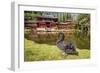 Byodo-In Temple, Valley of the Temples, Kaneohe, Oahu, Hawaii-Michael DeFreitas-Framed Photographic Print