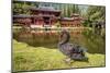 Byodo-In Temple, Valley of the Temples, Kaneohe, Oahu, Hawaii-Michael DeFreitas-Mounted Photographic Print