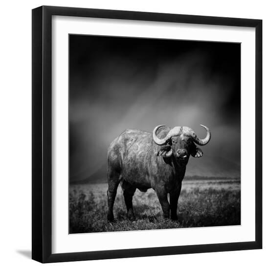 Photographic Print, , large