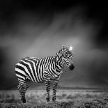 Giraffe in Front of Kilimanjaro Mountain-byrdyak-Photographic Print