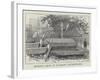 Byron's Seat in Harrow Churchyard-null-Framed Giclee Print